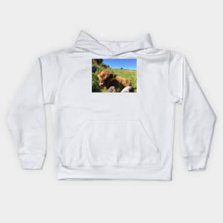 Scottish Highland Cattle Calf 1495 Kids Hoodie